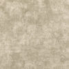 Arriccio  Lustre W555-04